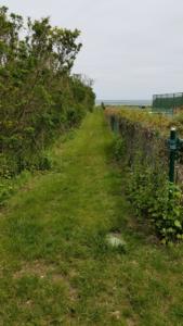 Private path to beach